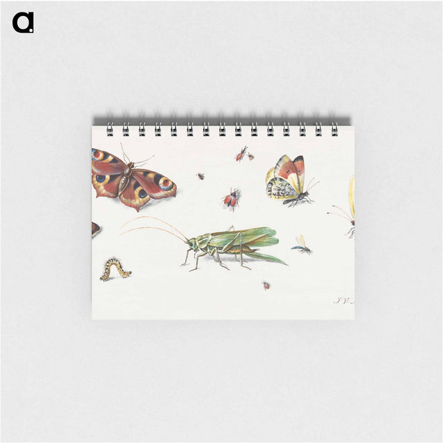 アートメモ帳-Insects, Butterflies, and a Grasshopper
 - ヤン ファン ケッセル Memo.