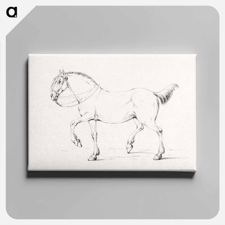 アートパネル-Stepping horse - ジャン ベルナール Canvas.