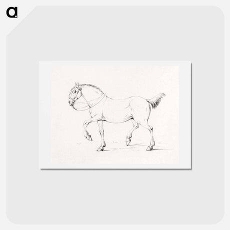 アートポストカード-Stepping horse - ジャン ベルナール Postcard.