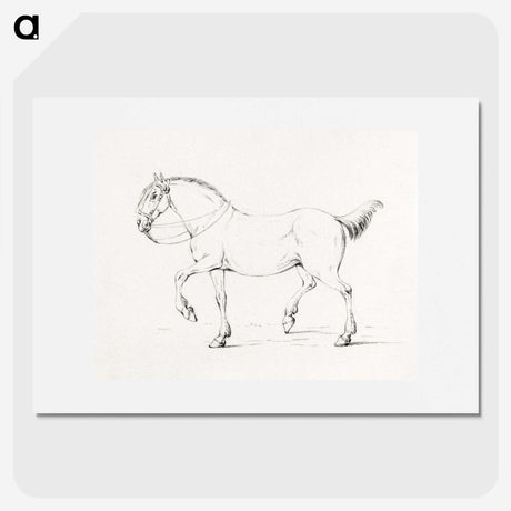 1-7_Jean-Bernard_picture