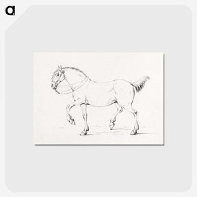 1-7_Jean-Bernard_postcard