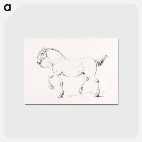 アートポストカード-Stepping horse - ジャン ベルナール Postcard.