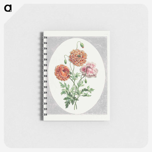 Dwarf Double Poppy
 - ジョン エドワーズ Memo.