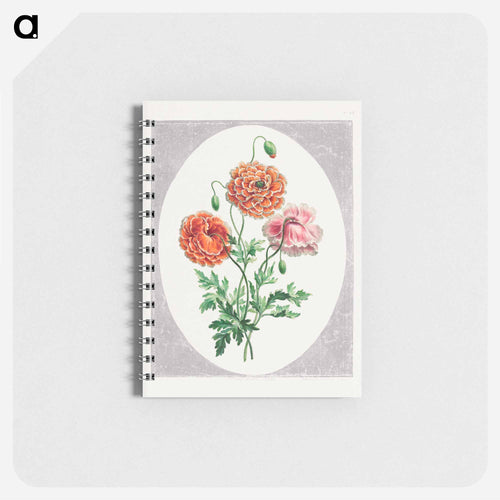 Dwarf Double Poppy
 - ジョン エドワーズ Memo.