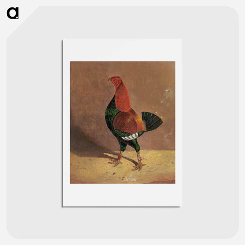 Fighting Cocks
 - ジョン フレデリック ヘリング Postcard.