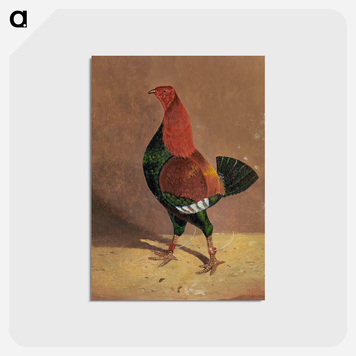 Fighting Cocks
 - ジョン フレデリック ヘリング Postcard.