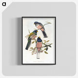 1-7_John-Gould_blk-crop