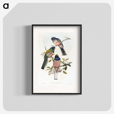 1-7_John-Gould_blk