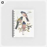 1-7_John-Gould_memo