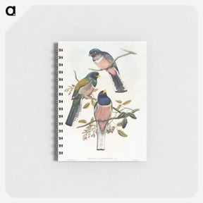 1-7_John-Gould_memo