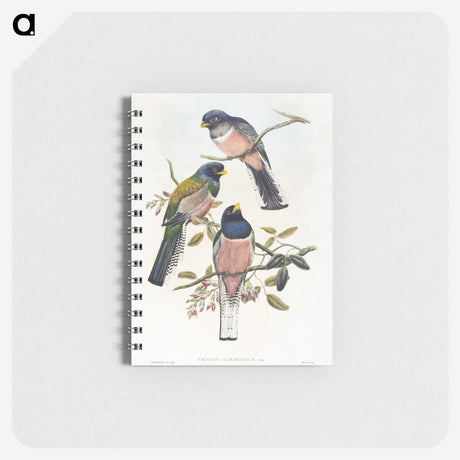 1-7_John-Gould_memo