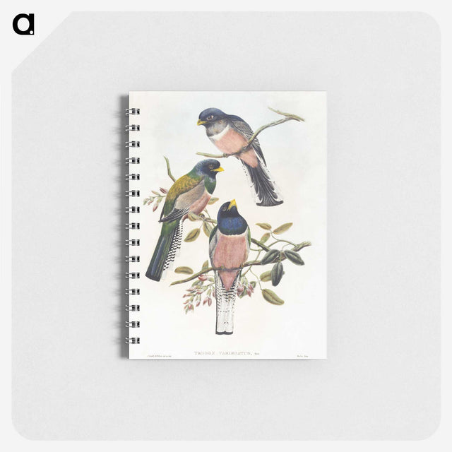 1-7_John-Gould_memo