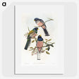 1-7_John-Gould_picture