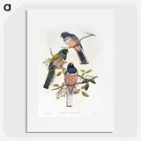 1-7_John-Gould_picture