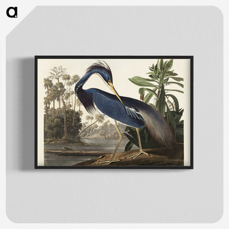 1-7_John-James-Audubon_blk-crop