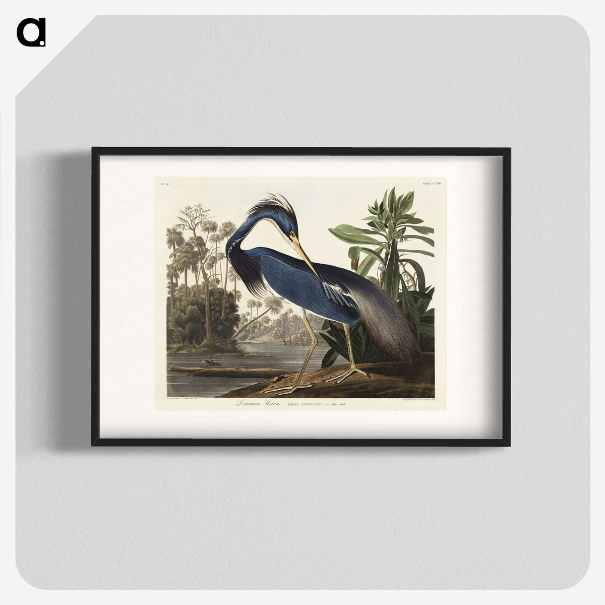 1-7_John-James-Audubon_blk
