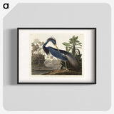 1-7_John-James-Audubon_blk