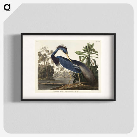 1-7_John-James-Audubon_blk