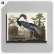 1-7_John-James-Audubon_canvas