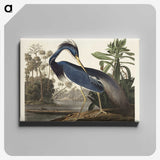1-7_John-James-Audubon_canvas