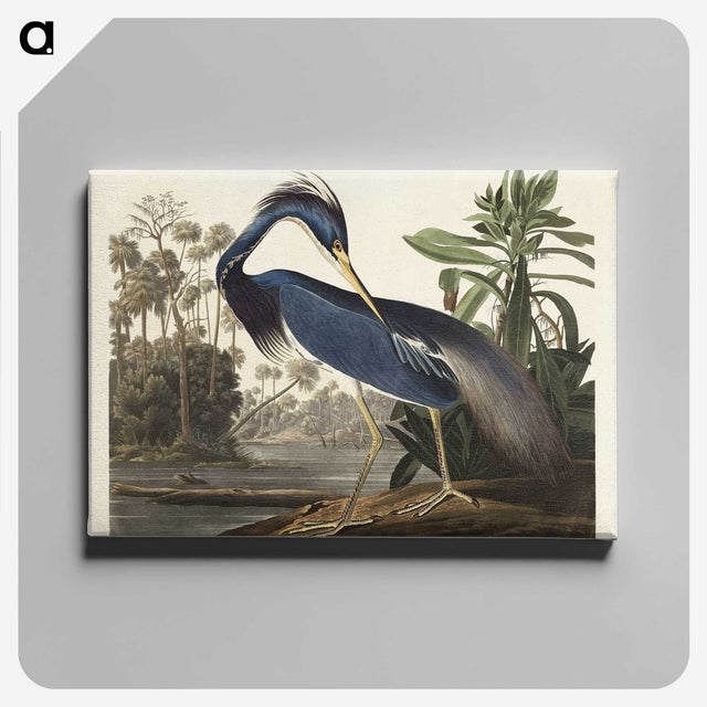 1-7_John-James-Audubon_canvas