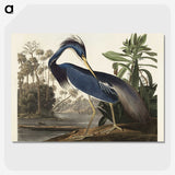 1-7_John-James-Audubon_picture-crop