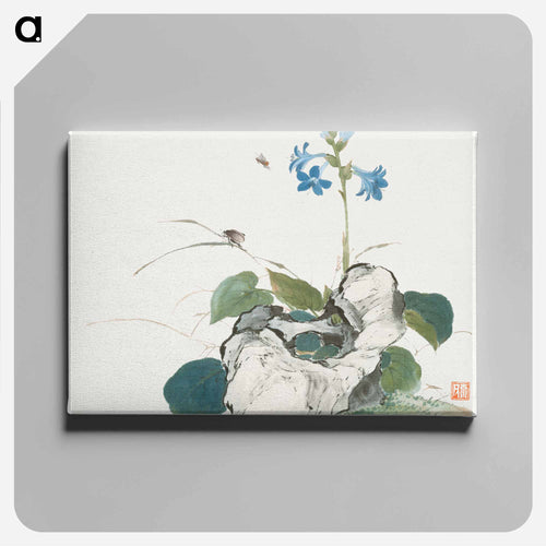 Insects and Flowers
 - ジュ リアン Canvas.