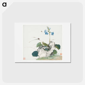 アートポストカード-Insects and Flowers
 - ジュ リアン Postcard.
