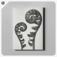 1-7_Karl-Blossfeldt_canvas