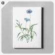 1-7_La-Botanique_canvas