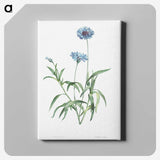 1-7_La-Botanique_canvas