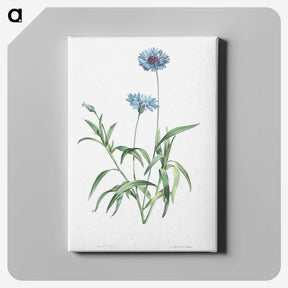 1-7_La-Botanique_canvas