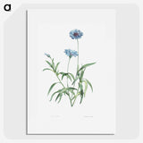 1-7_La-Botanique_picture