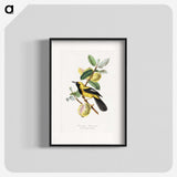 1-7_Le-Jardin-des-Plantes_blk