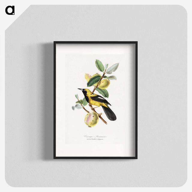 1-7_Le-Jardin-des-Plantes_blk
