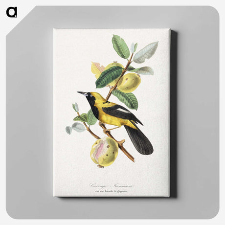 1-7_Le-Jardin-des-Plantes_canvas