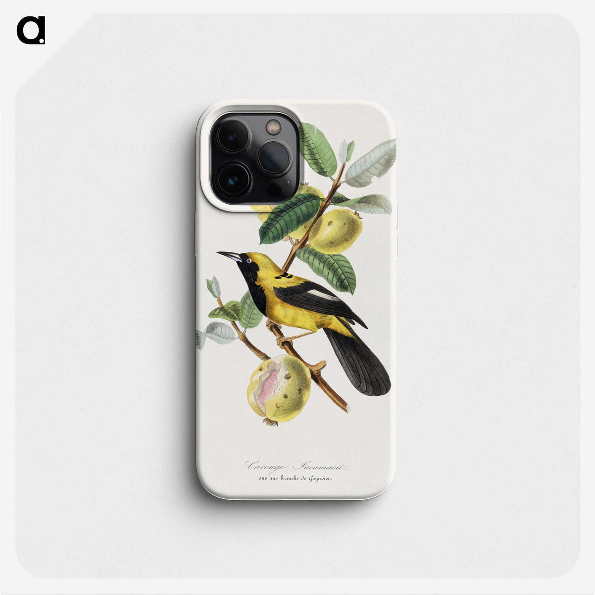 1-7_Le-Jardin-des-Plantes_phone