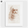 1-7_Leonardo-Da-Vinci_picture