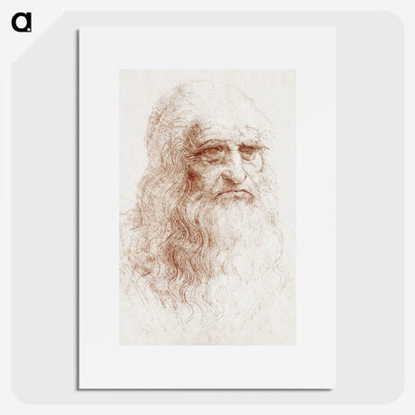 1-7_Leonardo-Da-Vinci_picture