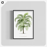 1-7_Les-Palmiers-Histoire-Iconographique_blk-crop