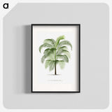 1-7_Les-Palmiers-Histoire-Iconographique_blk