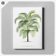 1-7_Les-Palmiers-Histoire-Iconographique_canvas