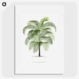 1-7_Les-Palmiers-Histoire-Iconographique_picture