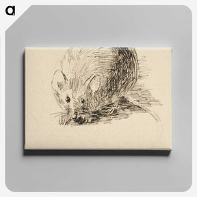1-7_Maria-Catharina-Wiik_canvas