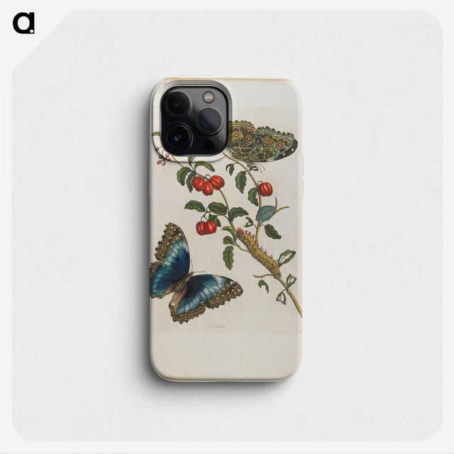1-7_Maria-Sibylla-Merian_phone
