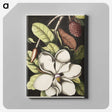 1-7_Mark-Catesby_canvas