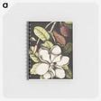 1-7_Mark-Catesby_memo