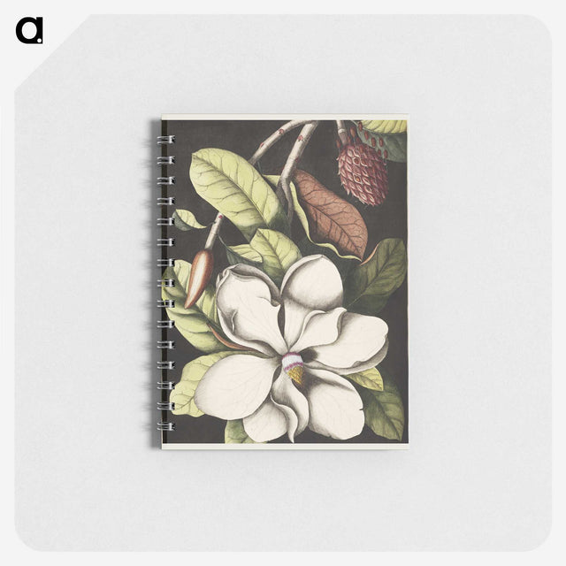 1-7_Mark-Catesby_memo