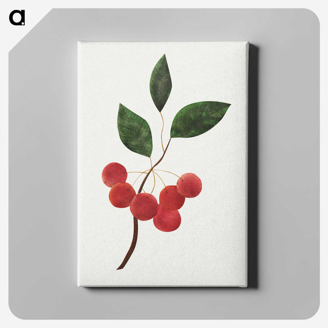1-7_Mary-Altha-Nims_canvas