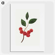 1-7_Mary-Altha-Nims_picture